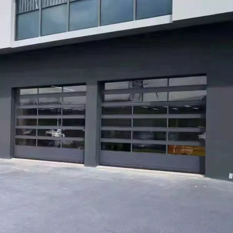 Villa Black Flat Glass Sectional Garage Door